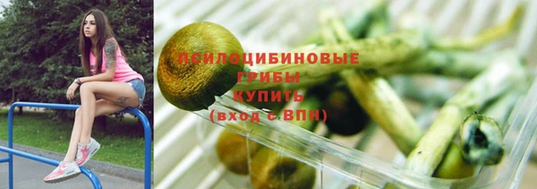 ПСИЛОЦИБИНОВЫЕ ГРИБЫ Абдулино
